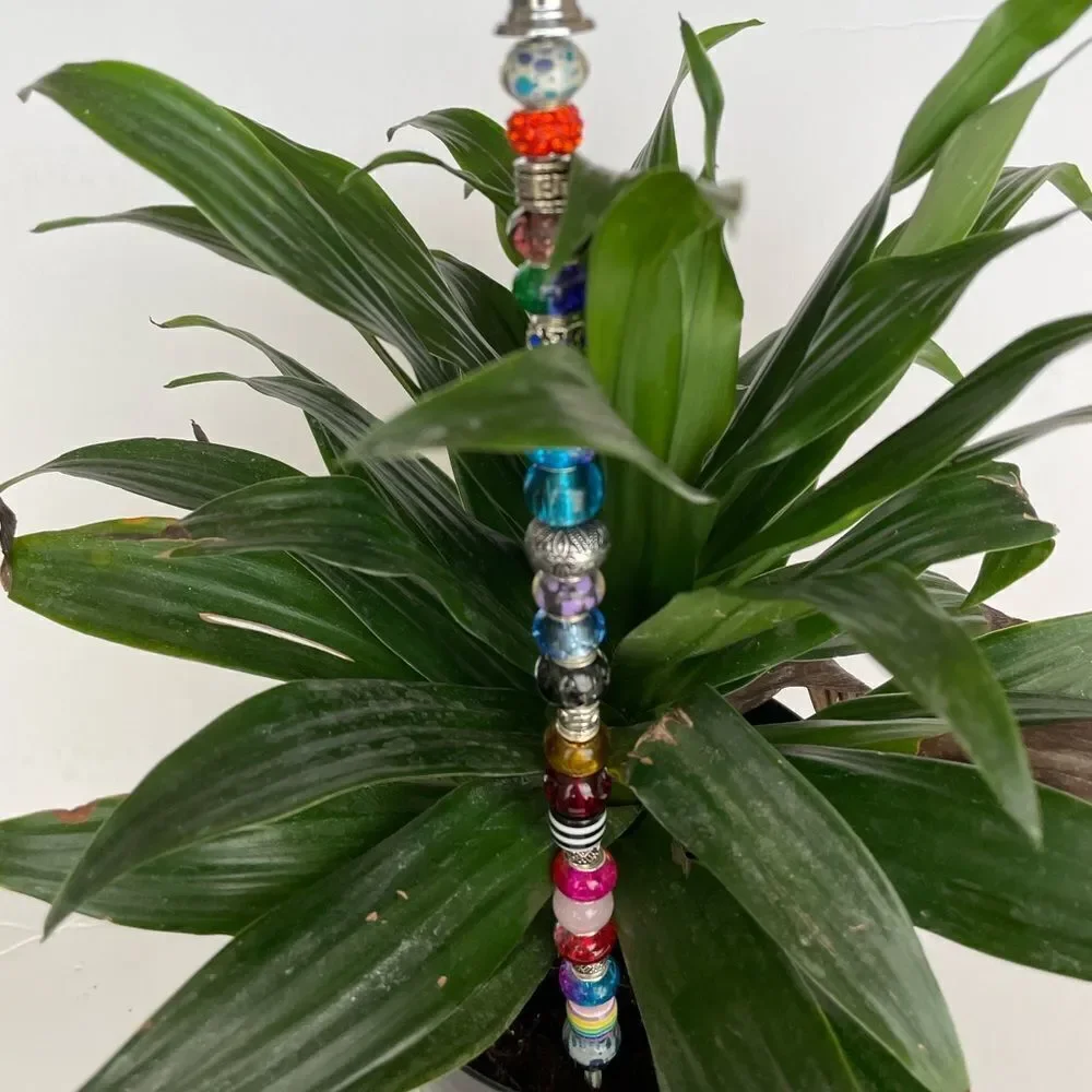Hand Crafted brighten up
